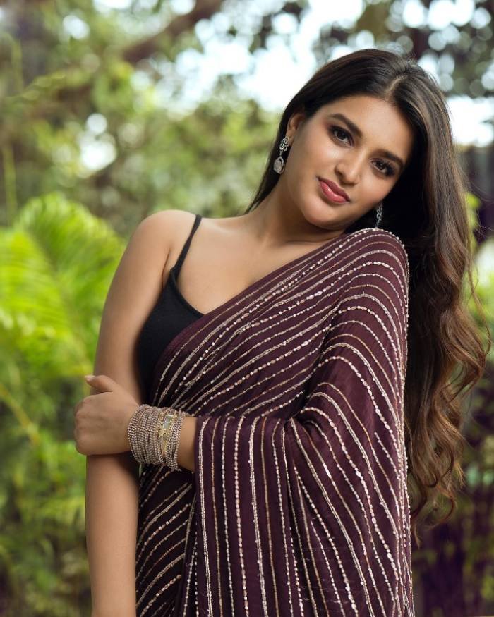 nidhhi agerwal_teluguvox 3